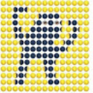 Meet your Posher, Ella